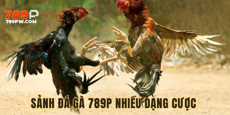 Khách hàng dễ dàng lựa chọn cửa cược